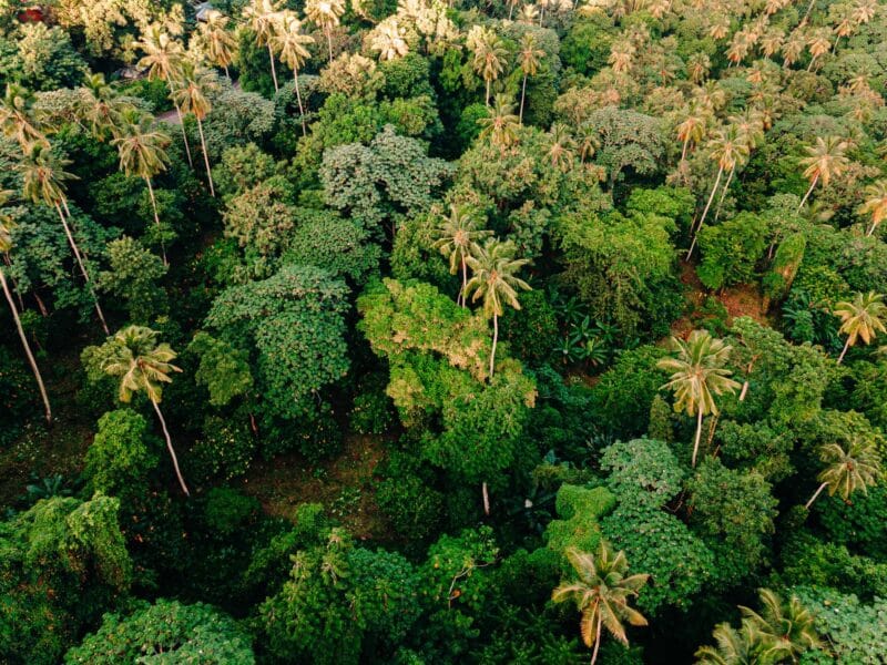 DJI_0362