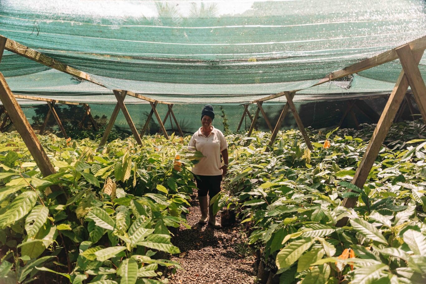 Farmer in the nursery_Matt Wild