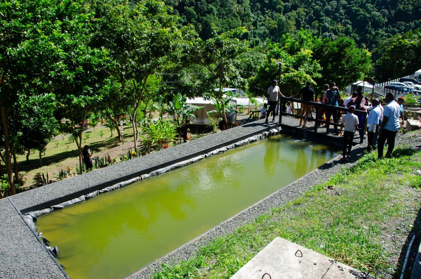 hd pond